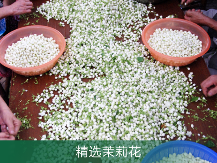 黄埔区茉莉花纯露,茉莉花