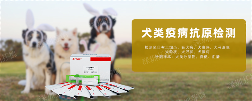 福建豬圓環(huán)抗原檢測卡哪里買 深圳芬德生物供應(yīng) 深圳芬德生物供應(yīng)