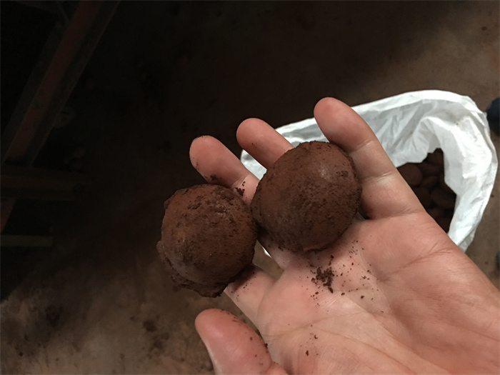 新疆除塵灰球團粘合劑哪家好