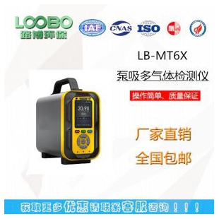 上海全自动LB-MT6X泵吸手多气体分析仪厂家