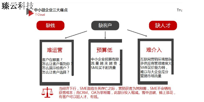 武邑一站式臻推宝好处,臻推宝