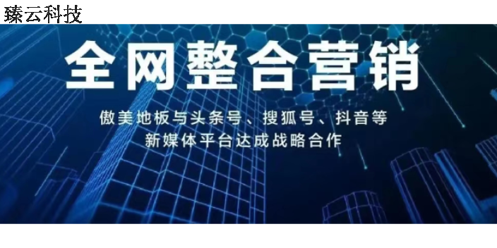 桃城區互聯網珍島T云哪個好 抱誠守真 衡水臻云信息科技供應