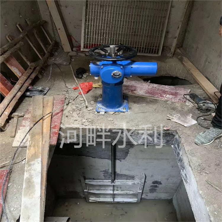 汕尾手搖啟閉機