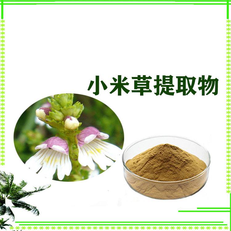 小米草提取物20：1比例提取，小米草粉，小米草提取液，现货供应，1公斤起订，包邮