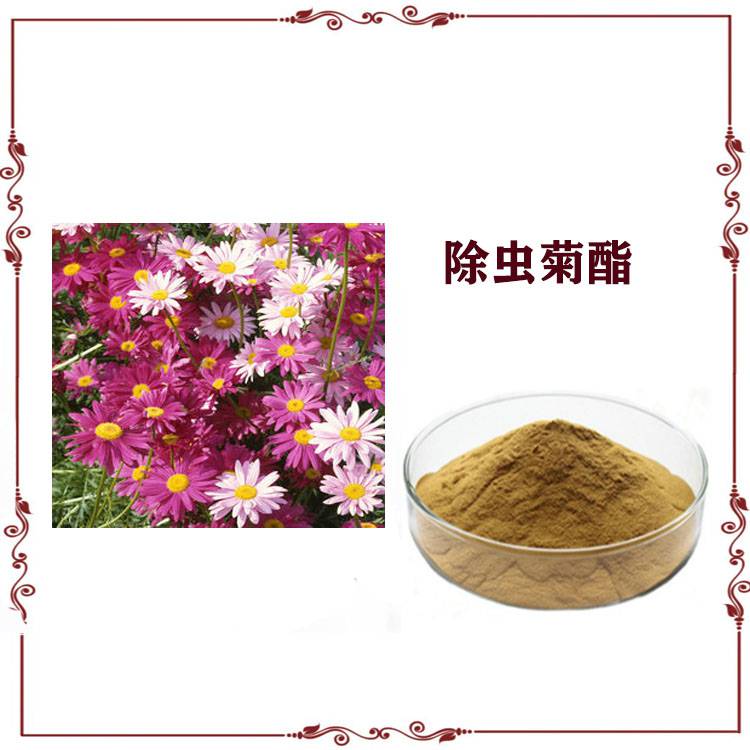 除虫菊提取物10：1，除虫菊聚酯，除虫菊脂提取液，厂家直销，1公斤起订，包邮