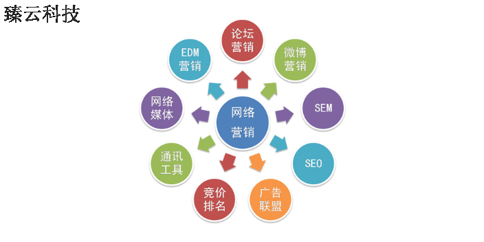 冀州区互联网互联网获客 诚信为本 衡水臻云信息科技供应