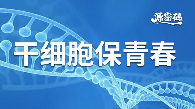 安徽標準干細胞保青春 和諧共贏 鄭州源密碼生物科技供應