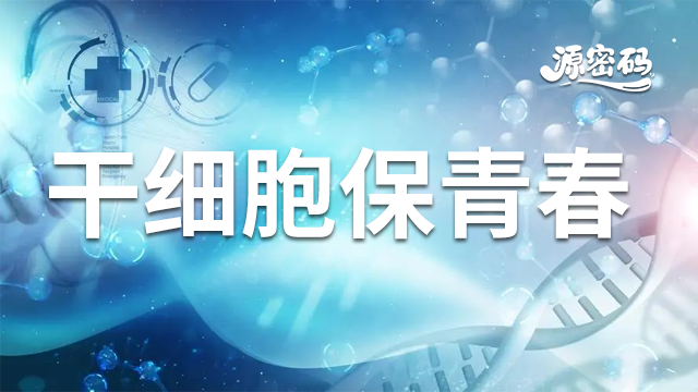 黑龍江干細胞保青春24小時服務 誠信互利 鄭州源密碼生物科技供應