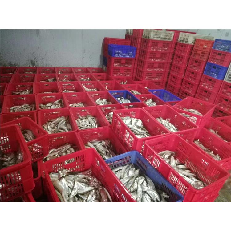 開封喬豐塑膠筐 水果筐 宜賓喬豐塑料周轉筐