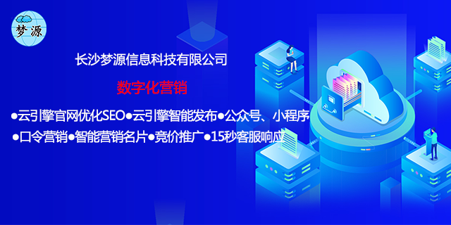 娄底网站排名网络推广技术指导 贴心服务 长沙梦源信息科技供应