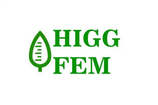 Higg FEM模块