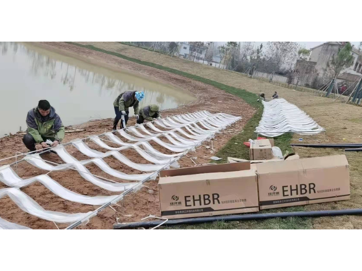 浙江污水处理MABR膜厂家,MABR膜