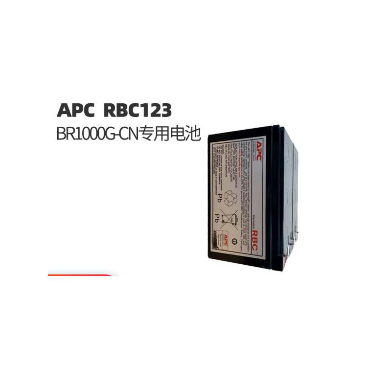 APC SUA3000R2ICH UPS电源 在线式3000VA不间断电源