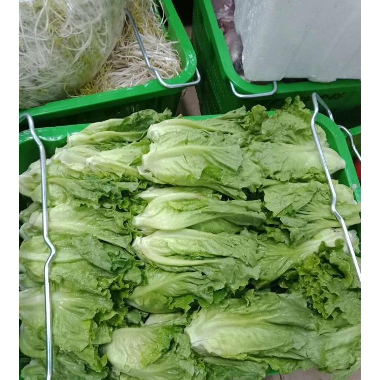 佛山獅山生鮮肉類蔬菜配送公司價格行情