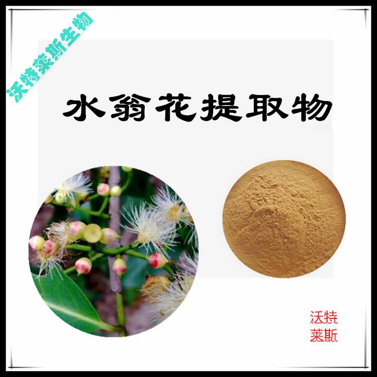 水翁花提取物10：1比例提取，水翁花粉，水翁花浓缩粉，水翁花提取液，水翁花浸膏，1公斤起订，包邮