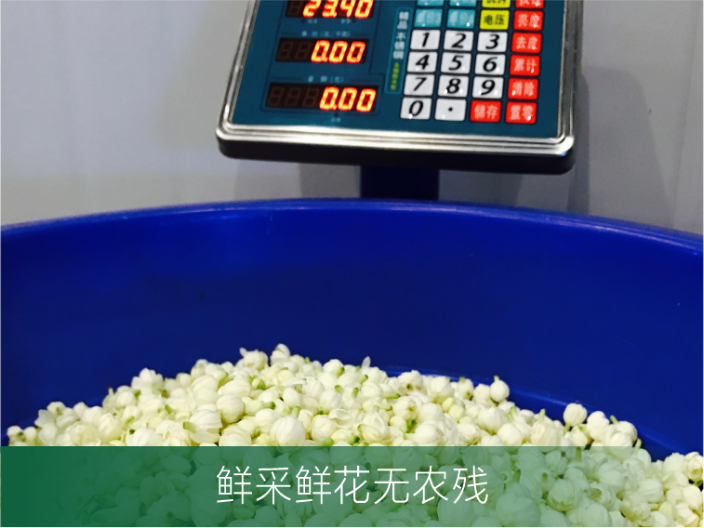 全素純露定制 廣州原渡生物科技供應