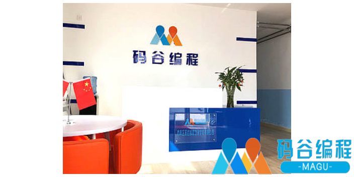青島中小學(xué)生邏輯思維培訓(xùn)前景 歡迎來(lái)電 青島碼谷教育科技供應(yīng)