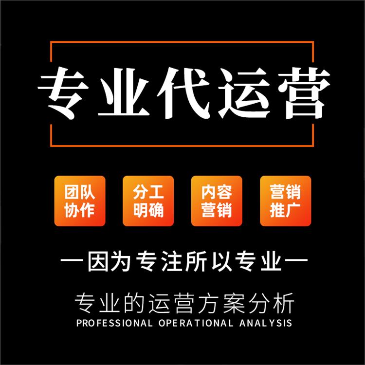天貓星級服務(wù)商 網(wǎng)店代運(yùn)營 浙江淘寶代運(yùn)營團(tuán)隊