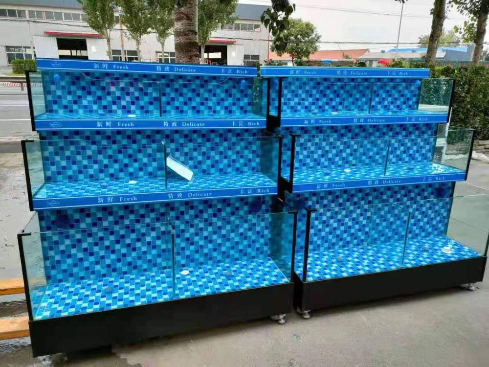 佛山朝安海鮮魚池工程-佛山供應(yīng)魚缸玻璃貝類缸