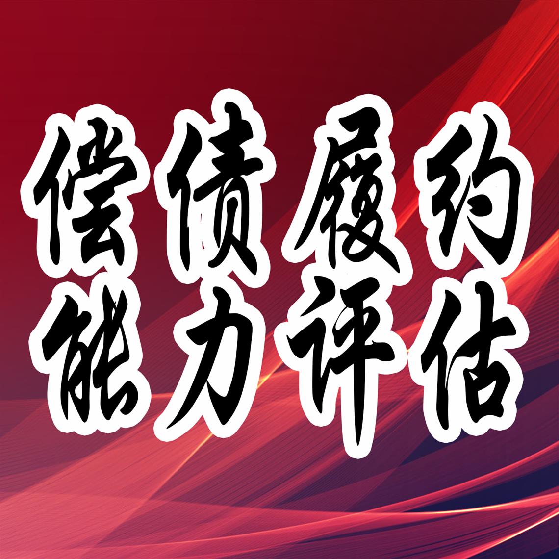 项目风险可行性分析报告