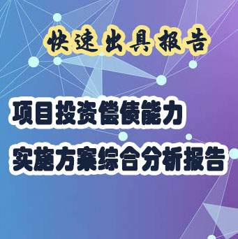 项目未来收益回报策划实施方案