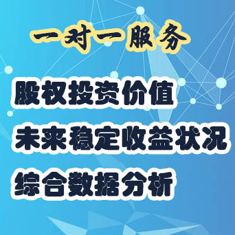 项目未来收益回报策划实施方案