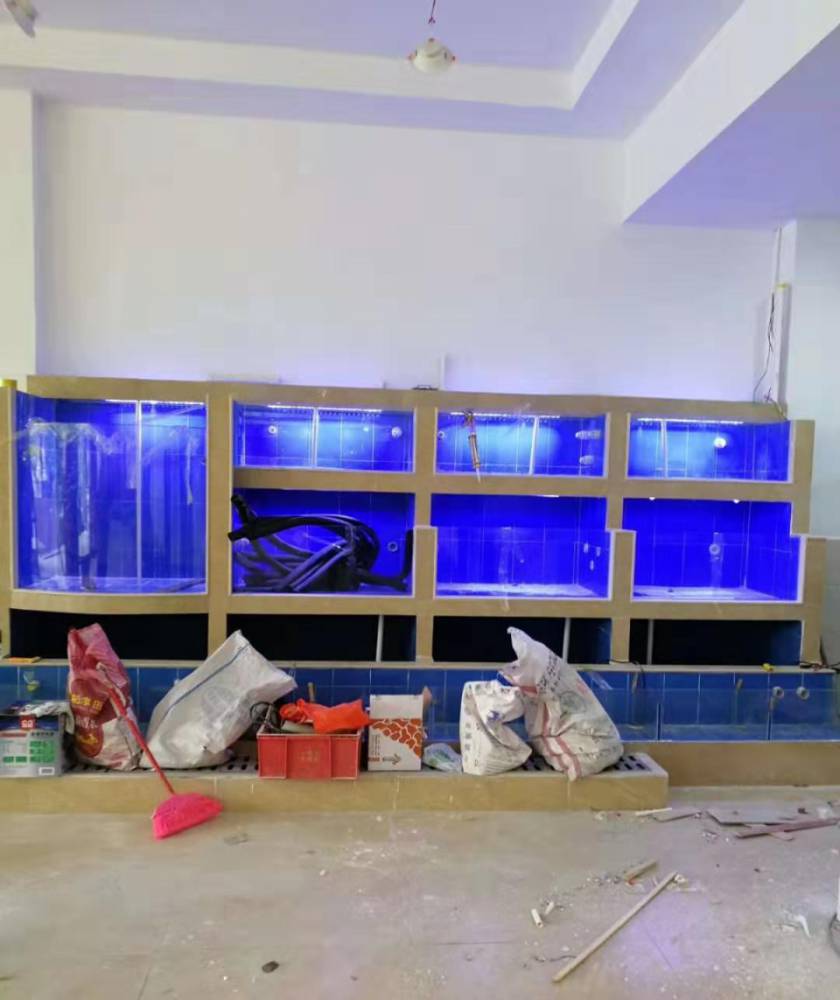 廣州從化餐廳海鮮池制作-可移動海鮮池圖片