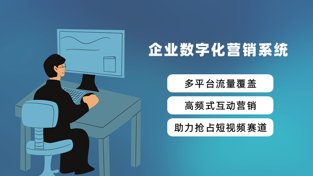 临沂短视频数字化营销平台 诚信服务 山东经略天下管理咨询供应