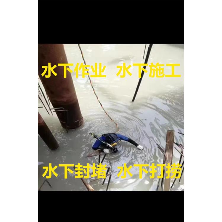 鎮江蛙人打撈手表 實力打撈救援隊伍