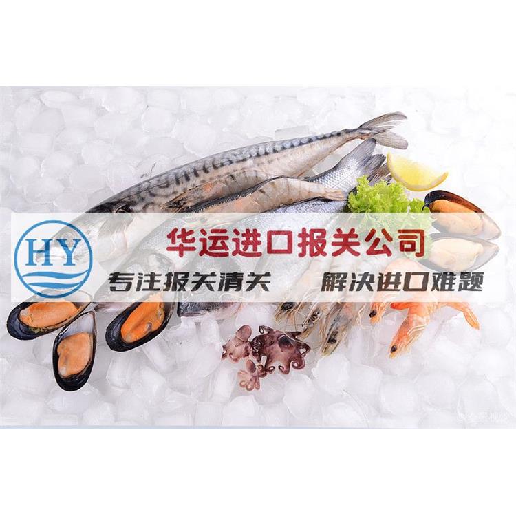 廈門港凍魚代理清關公司清關政策_海鮮清關公司