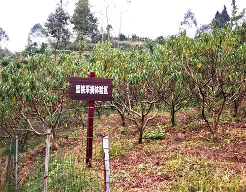 云南生物**肥批發