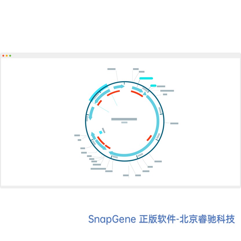 成都SnapGene软件安装