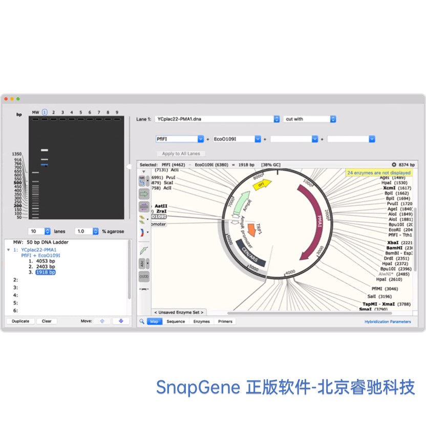 北京SnapGene软件安装