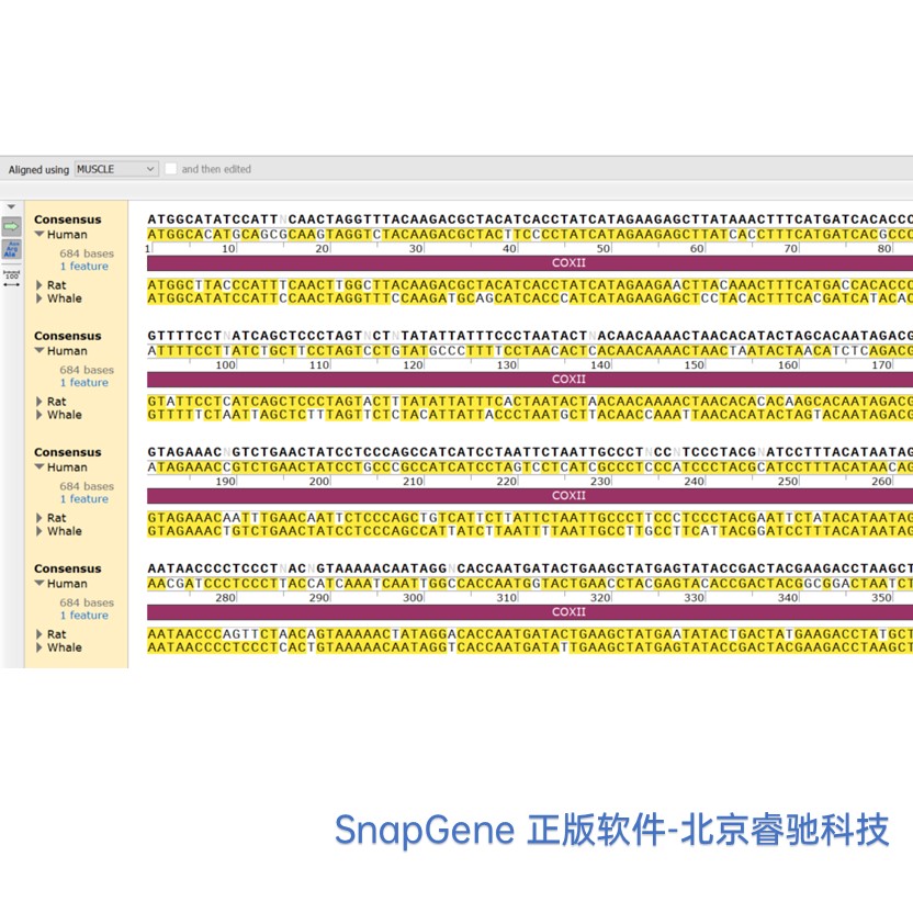 天津SnapGene软件功能