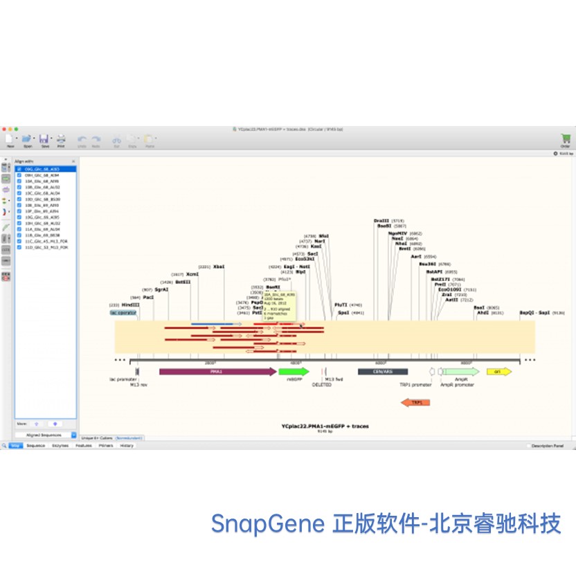 天津SnapGene软件功能