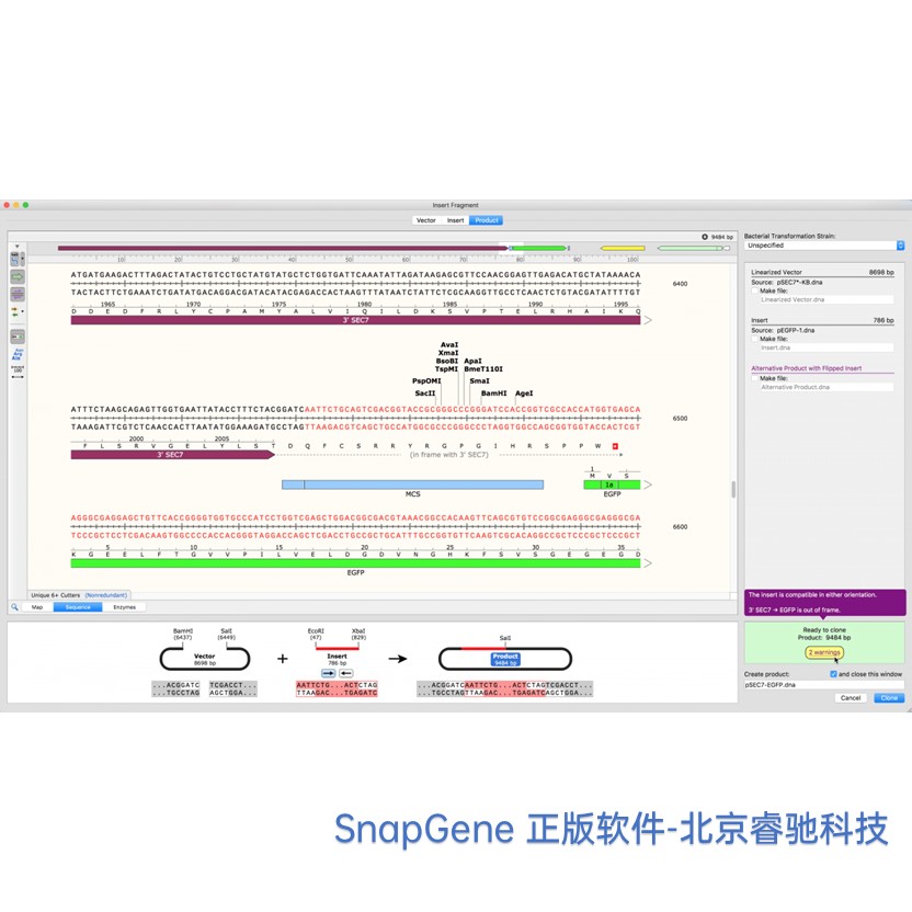 SnapGene软件代理商