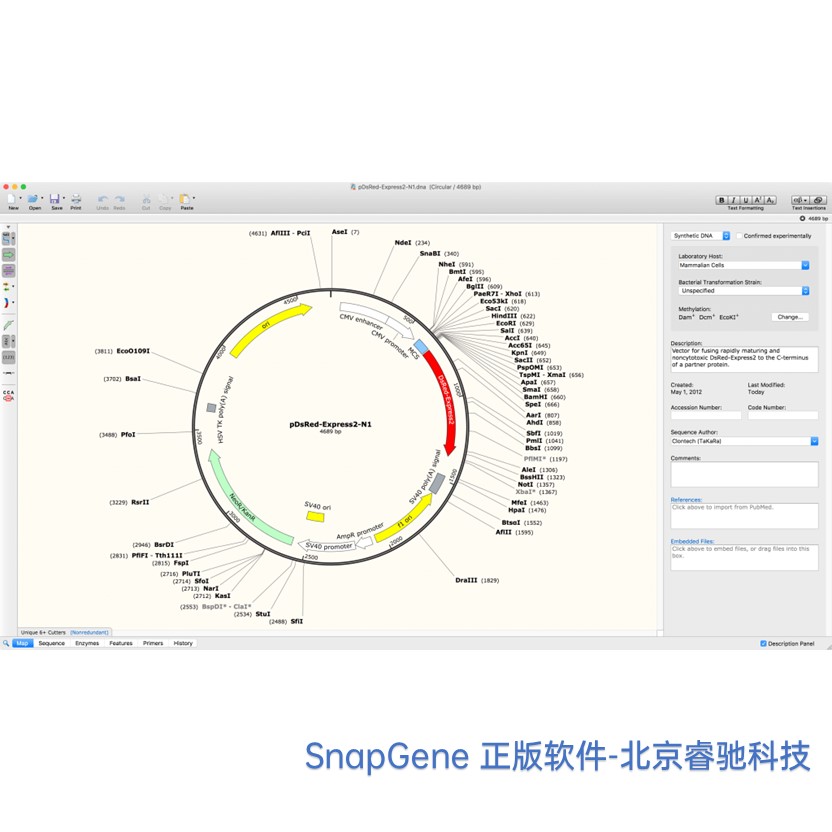 江苏SnapGene软件功能