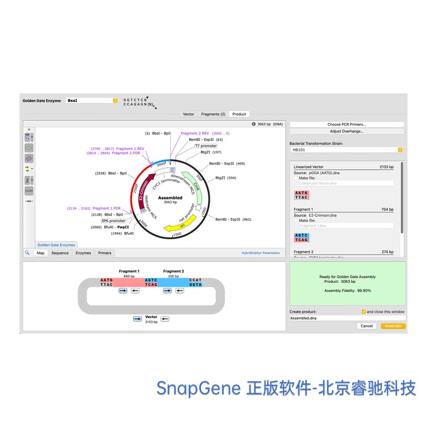 北京SnapGene软件