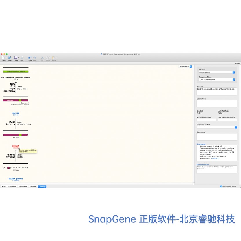 SnapGene软件代理商