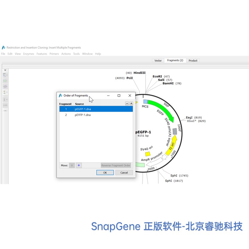 上海SnapGene软件序列号