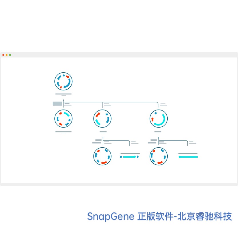 SnapGene软件代理商