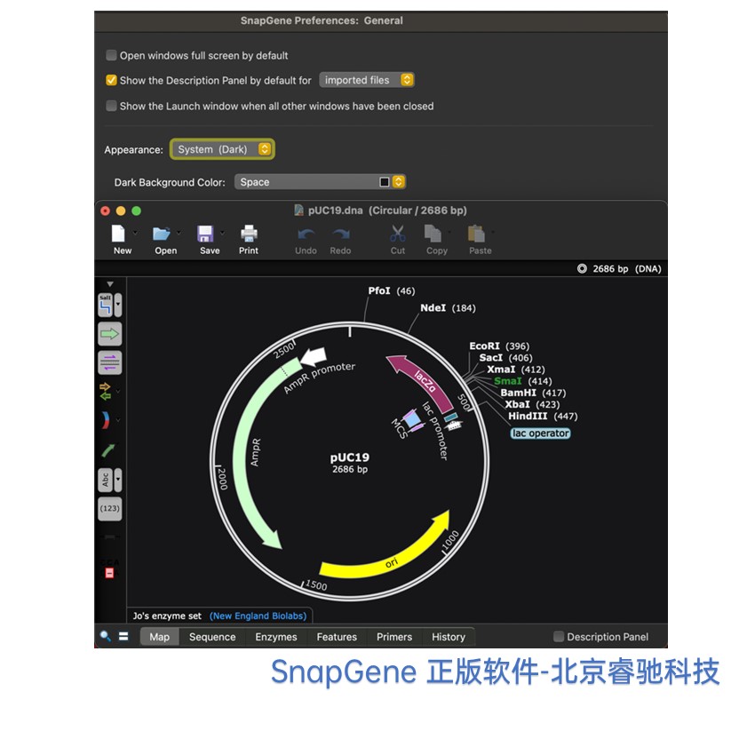 天津SnapGene软件功能