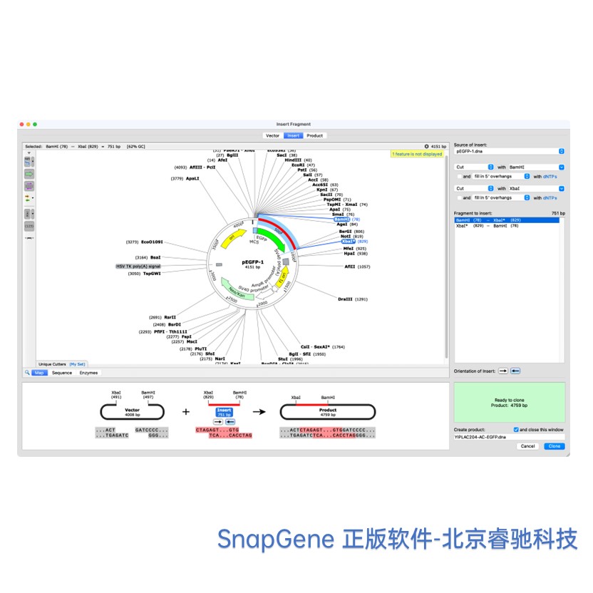 成都SnapGene软件安装