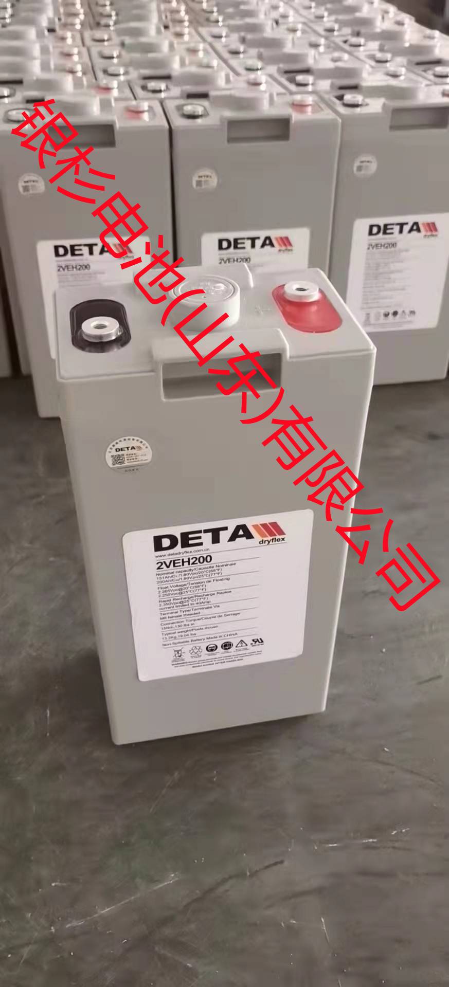 德國銀杉DETA蓄電池2VEH200 水電站儲能電池2V-200Ah DETA銀杉蓄電池總代理