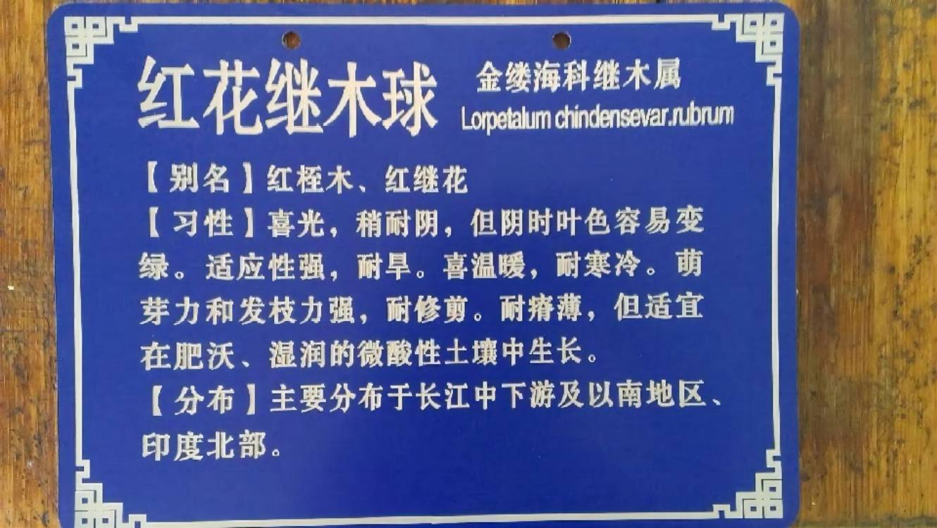 广东树脂材质激光烧字厂家