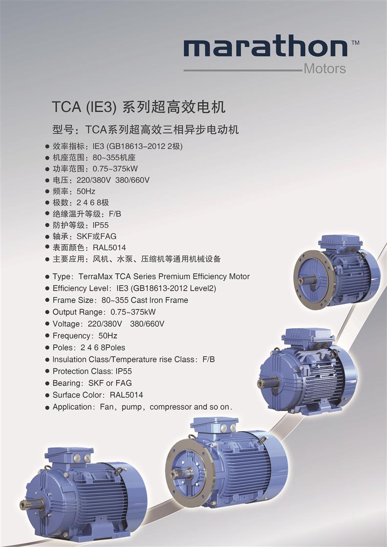 TEFC-NEMA 系列三相异步电动机供应商