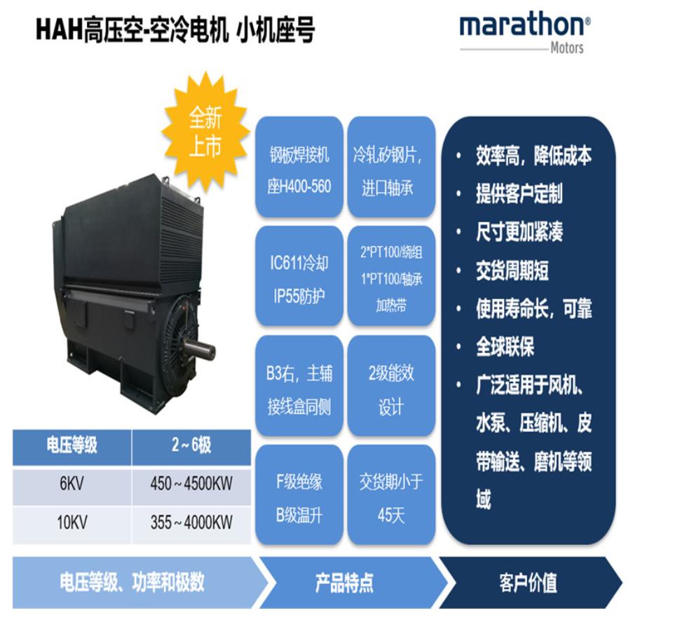 TCS 系列高温三相异步电动机供应商
