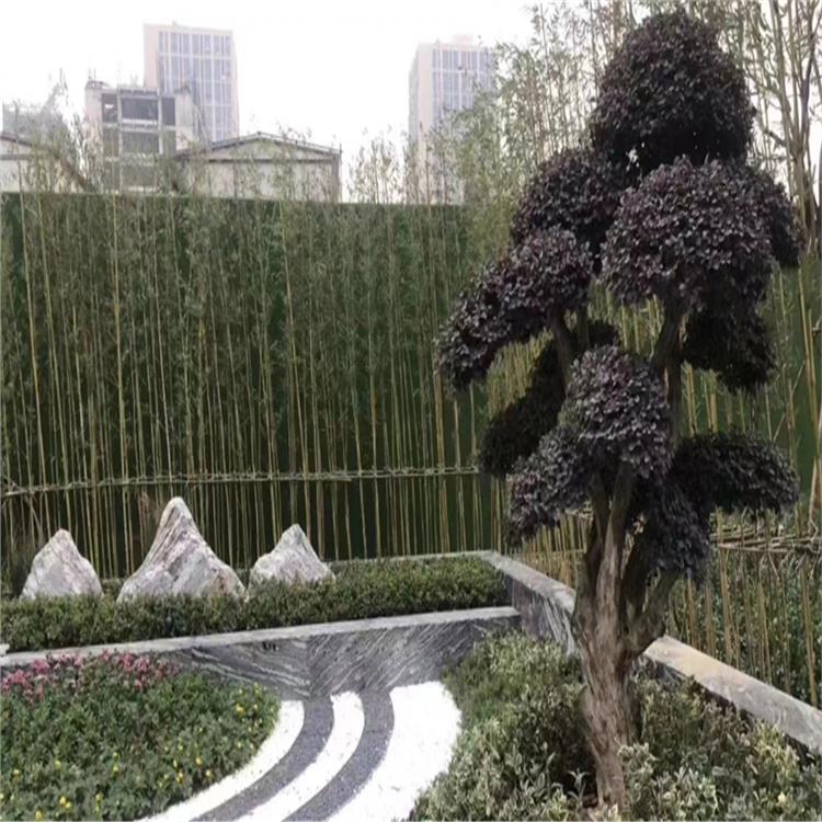 寧波園林石