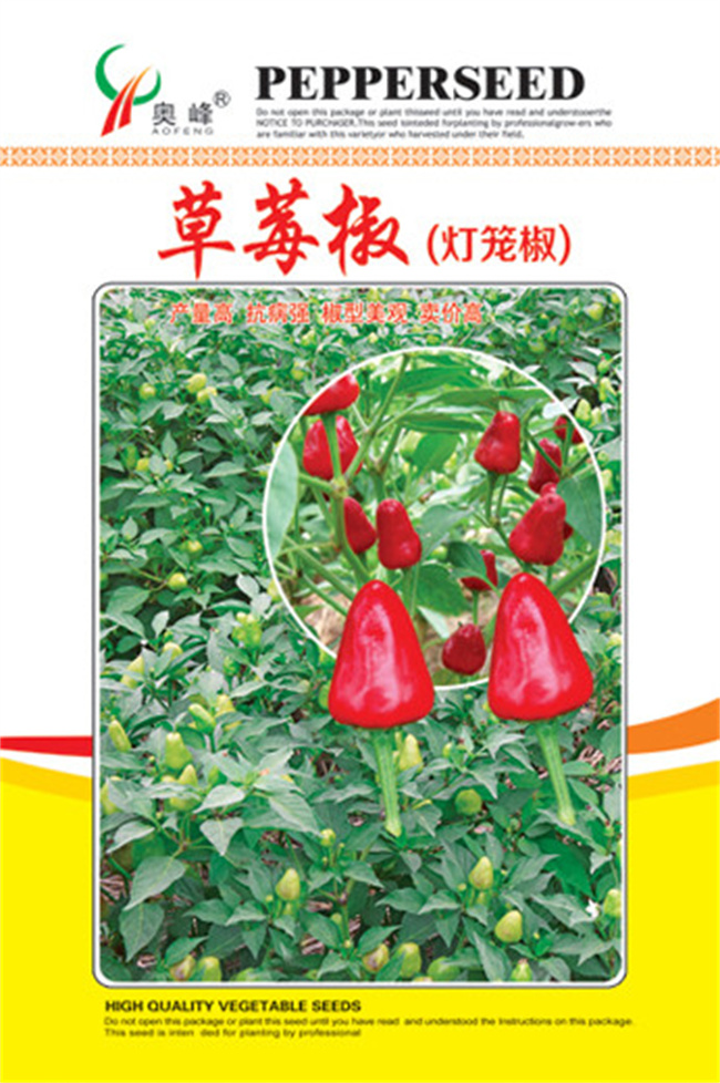 山東好吃的辣椒種植