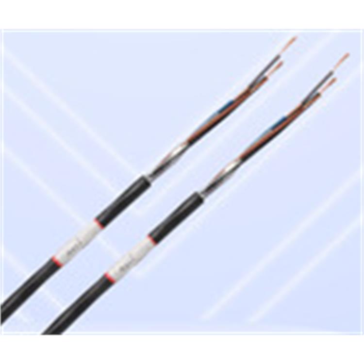 FLRY薄壁PVC絕緣低壓電線 宿遷德標(biāo)電動(dòng)汽車(chē)電纜廠家